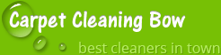 Carpet Cleaning Bow