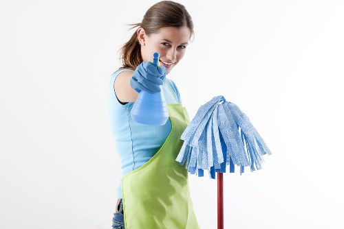 Illustration of accessible carpet cleaning information for Bow users