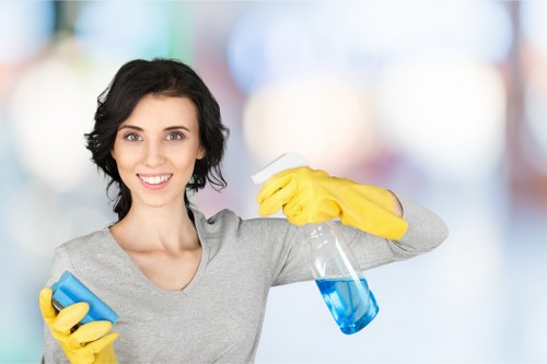 Example carpet cleaning jobs for homes and commercial spaces in Bow