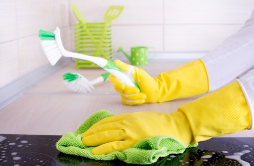 Deep cleaning tasks in a Bow flat kitchen