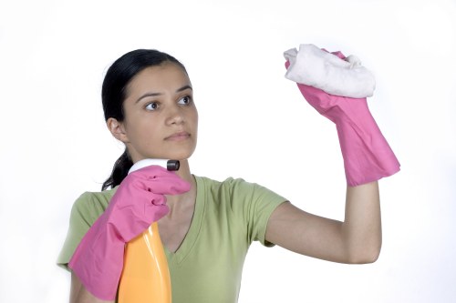 Professional carpet cleaning equipment in a Bow flat