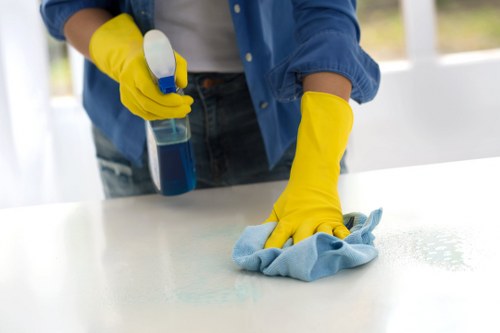 Resolution stage for a carpet cleaning complaint with documented notes
