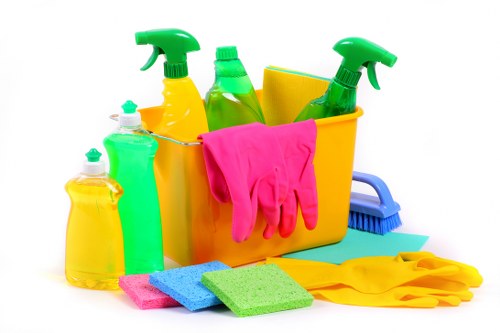 Professional cleaner carrying out kitchen and bathroom cleaning in Bow